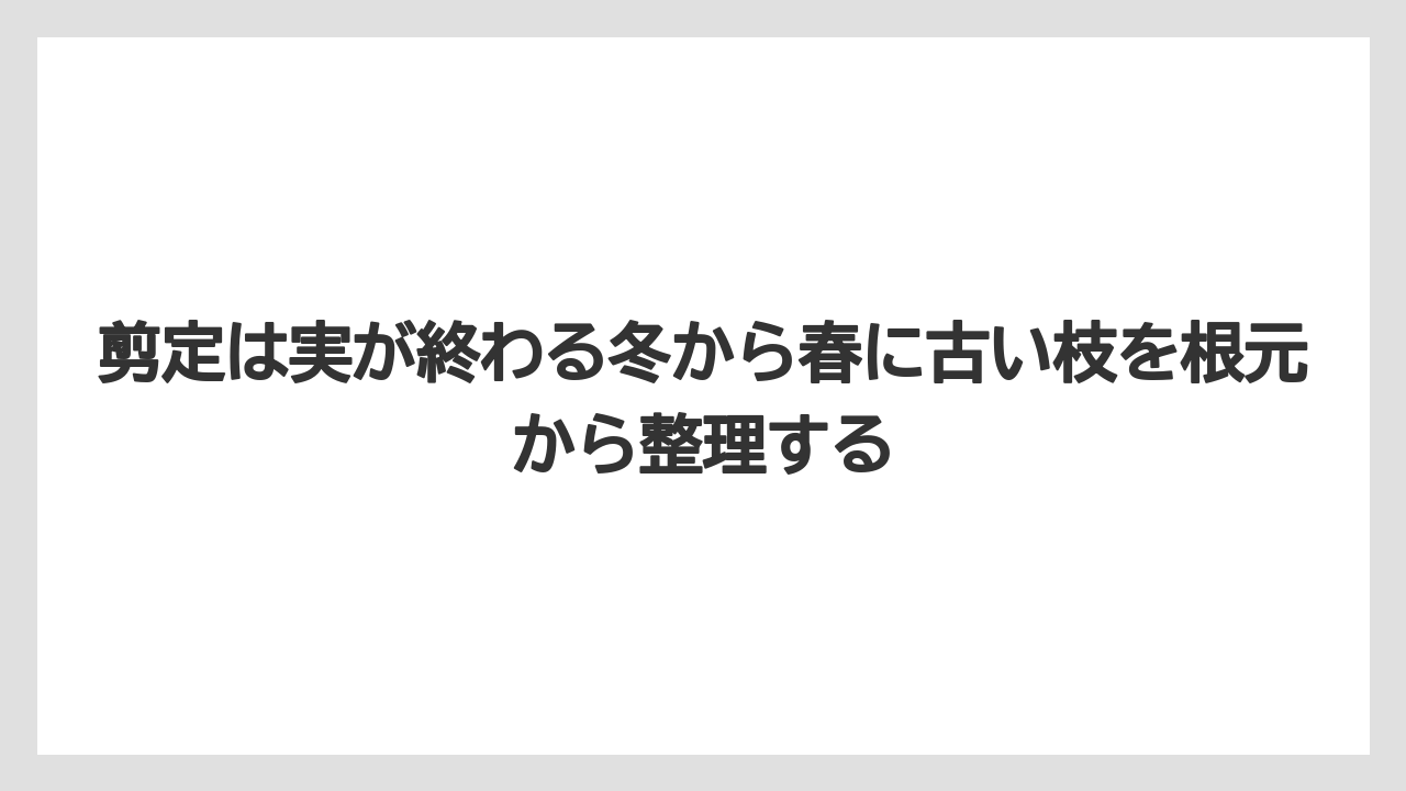 【栽培】【農園】【農業】剪定は実が終わる冬から春に古い枝を根元から整理する