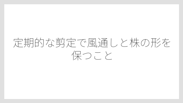 定期的な剪定で風通しと株の形を保つこと