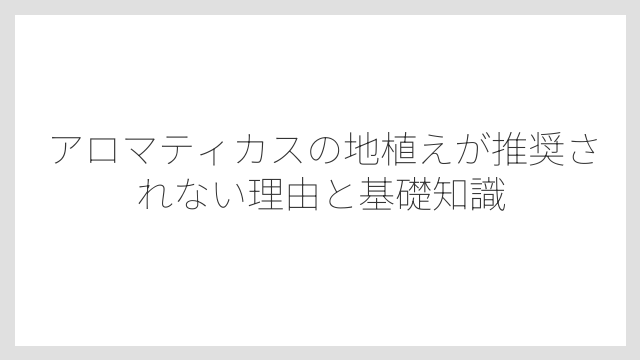 アロマティカスの地植えが推奨されない理由と基礎知識
