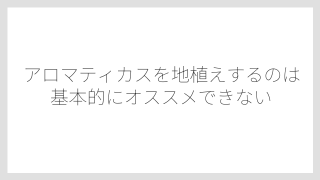 アロマティカスを地植えするのは基本的にオススメできない