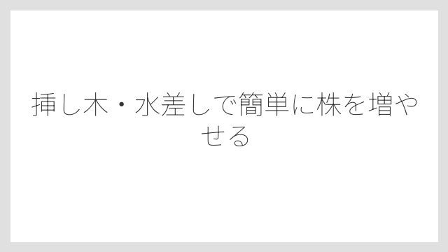 挿し木・水差しで簡単に株を増やせる