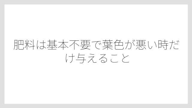 肥料は基本不要で葉色が悪い時だけ与えること