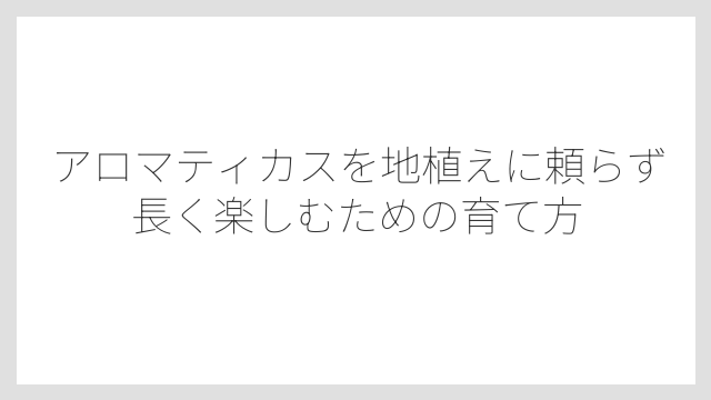 土づくりは水はけの良い用土が絶対条件