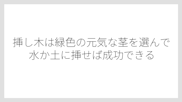 挿し木は緑色の元気な茎を選んで水か土に挿せば成功できる