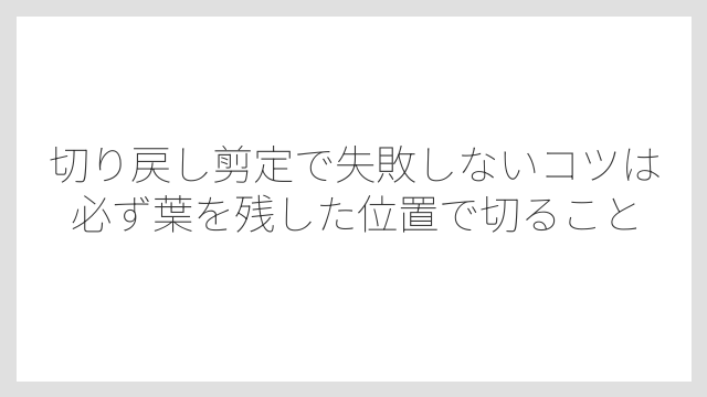 切り戻し剪定で失敗しないコツは必ず葉を残した位置で切ること