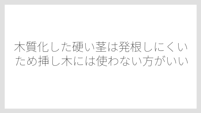 木質化した硬い茎は発根しにくいため挿し木には使わない方がいい