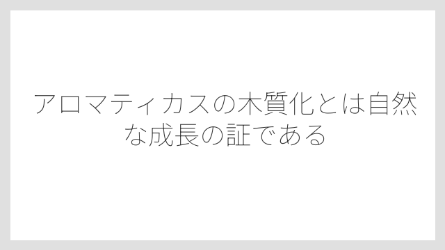 アロマティカスの木質化とは自然な成長の証である