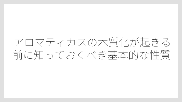 アロマティカスの木質化が起きる前に知っておくべき基本的な性質