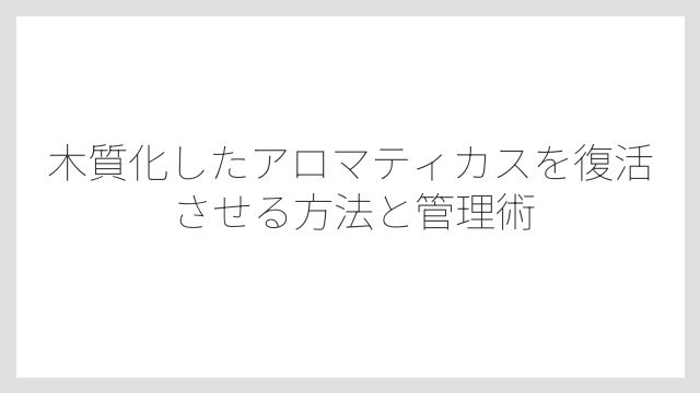 アロマティカスの木質化が起きる前に知っておくべき基本的な性質