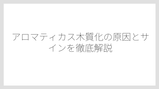 アロマティカス木質化の原因とサインを徹底解説