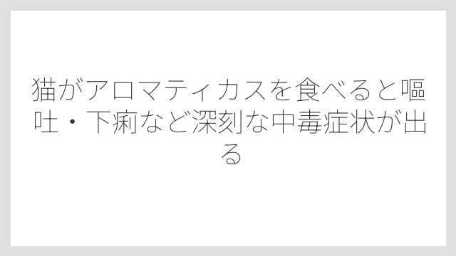 猫がアロマティカスを食べると嘔吐・下痢など深刻な中毒症状が出る