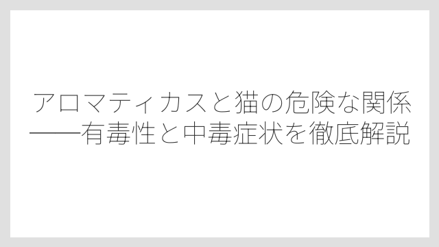 アロマティカスと猫の危険な関係──有毒性と中毒症状を徹底解説