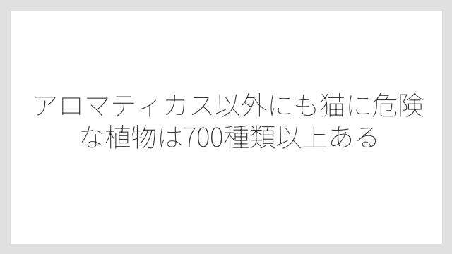 アロマティカス以外にも猫に危険な植物は700種類以上ある