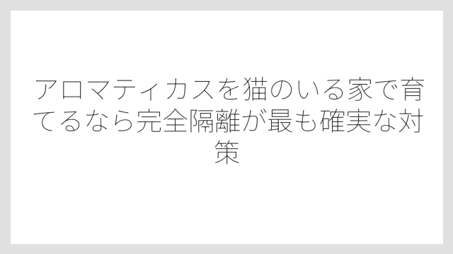 アロマティカスを猫のいる家で育てるなら完全隔離が最も確実な対策