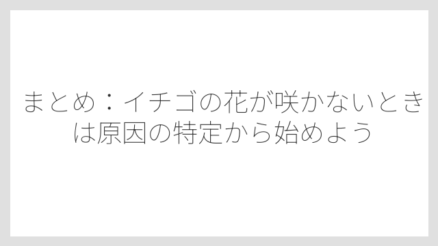 まとめ：イチゴの花が咲かないときは原因の特定から始めよう