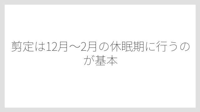剪定は12月〜2月の休眠期に行うのが基本