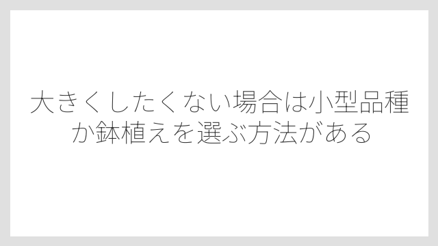大きくしたくない場合は小型品種か鉢植えを選ぶ方法がある