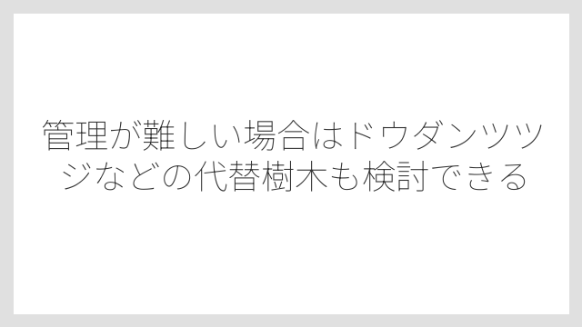 管理が難しい場合はドウダンツツジなどの代替樹木も検討できる
