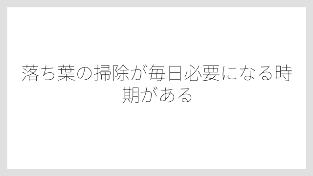 落ち葉の掃除が毎日必要になる時期がある