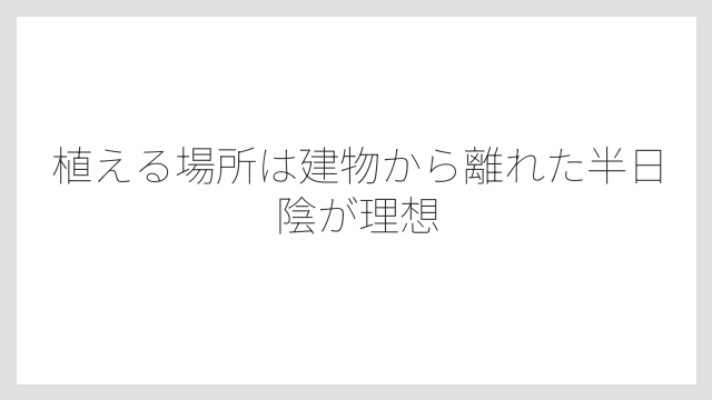 植える場所は建物から離れた半日陰が理想