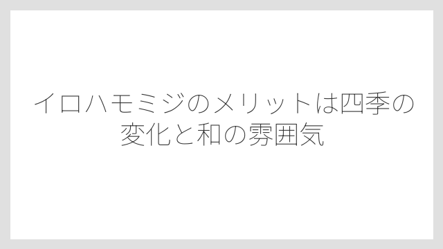 イロハモミジのメリットは四季の変化と和の雰囲気