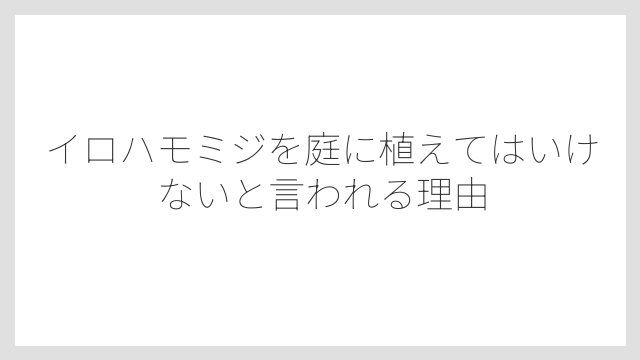 イロハモミジを庭に植えてはいけないと言われる理由