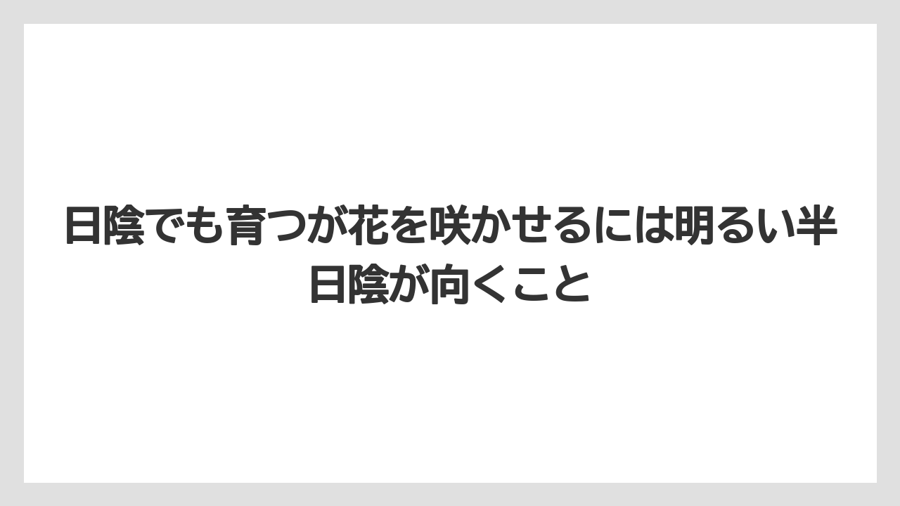 日陰でも育つが花を咲かせるには明るい半日陰が向くこと