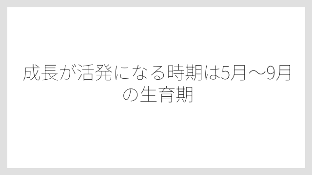成長が活発になる時期は5月〜9月の生育期