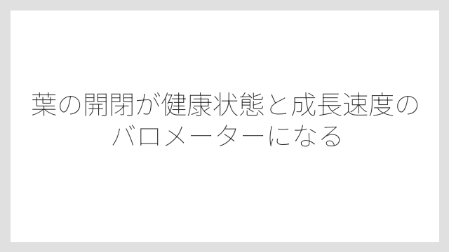 葉の開閉が健康状態と成長速度のバロメーターになる