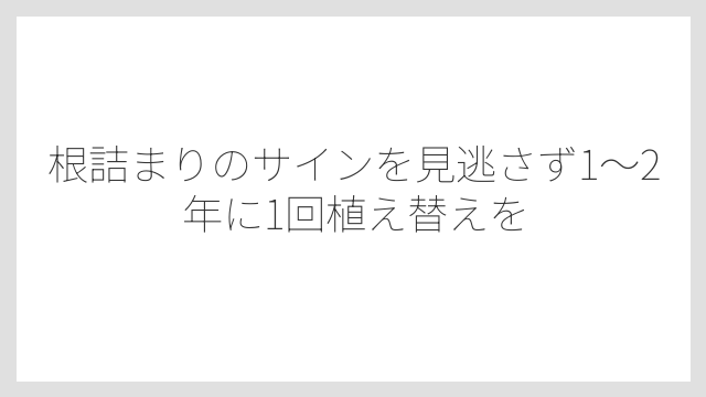 根詰まりのサインを見逃さず1〜2年に1回植え替えを