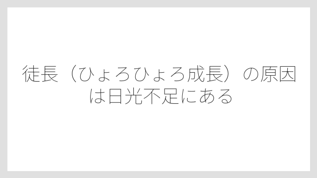 徒長（ひょろひょろ成長）の原因は日光不足にある