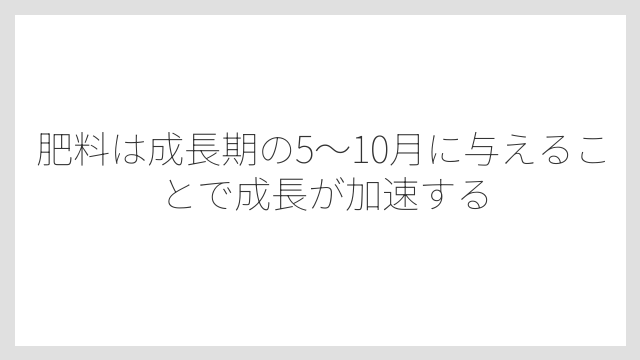 肥料は成長期の5〜10月に与えることで成長が加速する