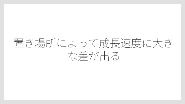 置き場所によって成長速度に大きな差が出る