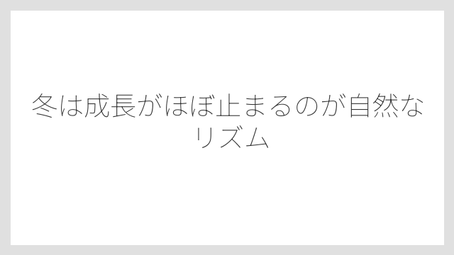 冬は成長がほぼ止まるのが自然なリズム