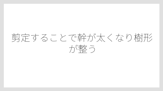 剪定することで幹が太くなり樹形が整う