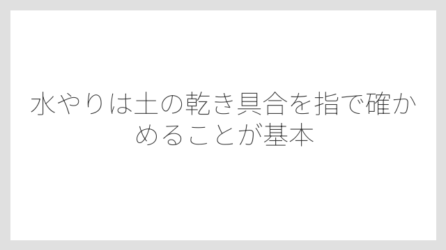 水やりは土の乾き具合を指で確かめることが基本