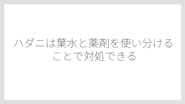 ハダニは葉水と薬剤を使い分けることで対処できる