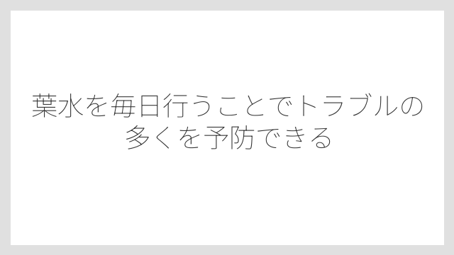 葉水を毎日行うことでトラブルの多くを予防できる