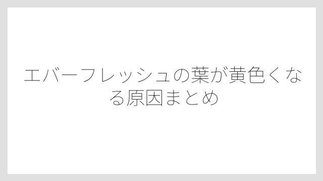 エバーフレッシュの葉が黄色くなる原因まとめ