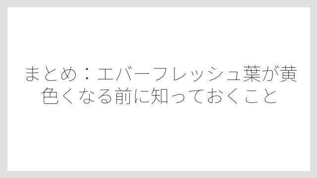 まとめ：エバーフレッシュ葉が黄色くなる前に知っておくこと