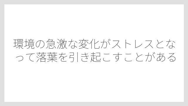 環境の急激な変化がストレスとなって落葉を引き起こすことがある