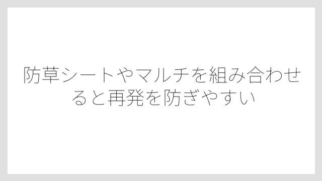 防草シートやマルチを組み合わせると再発を防ぎやすい