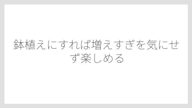 鉢植えにすれば増えすぎを気にせず楽しめる