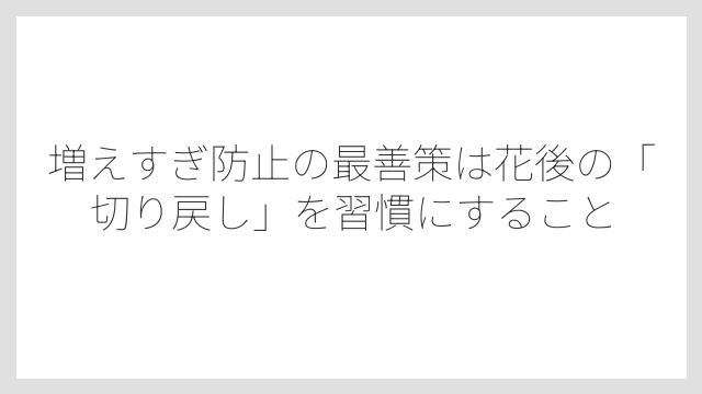 増えすぎ防止の最善策は花後の「切り戻し」を習慣にすること