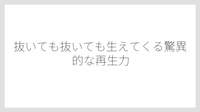 抜いても抜いても生えてくる驚異的な再生力