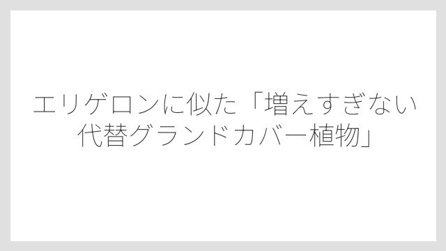 エリゲロンに似た「増えすぎない代替グランドカバー植物」