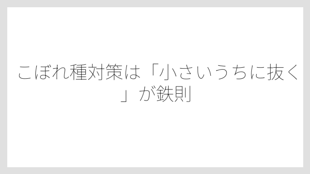 こぼれ種対策は「小さいうちに抜く」が鉄則