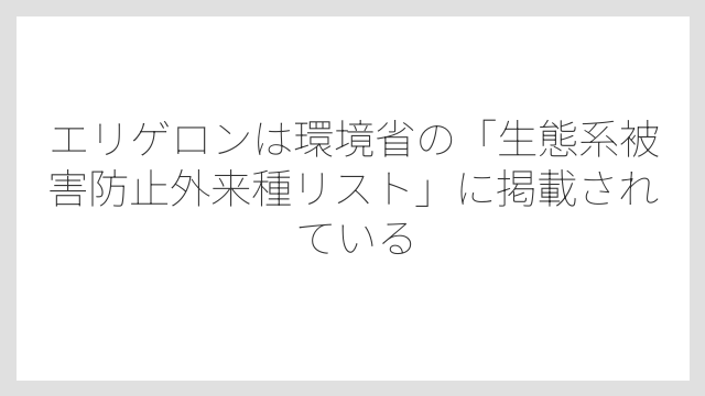 エリゲロンは環境省の「生態系被害防止外来種リスト」に掲載されている
