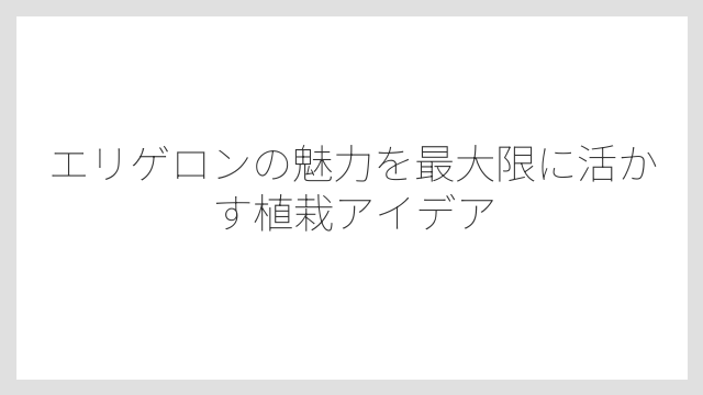 エリゲロンの魅力を最大限に活かす植栽アイデア