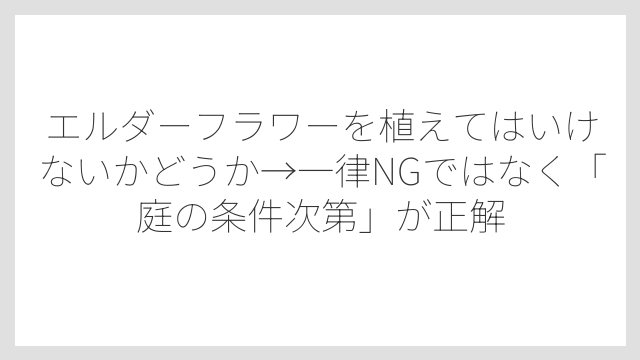 エルダーフラワーを植えてはいけないかどうか→一律NGではなく「庭の条件次第」が正解